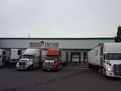 Western Harvest Inc